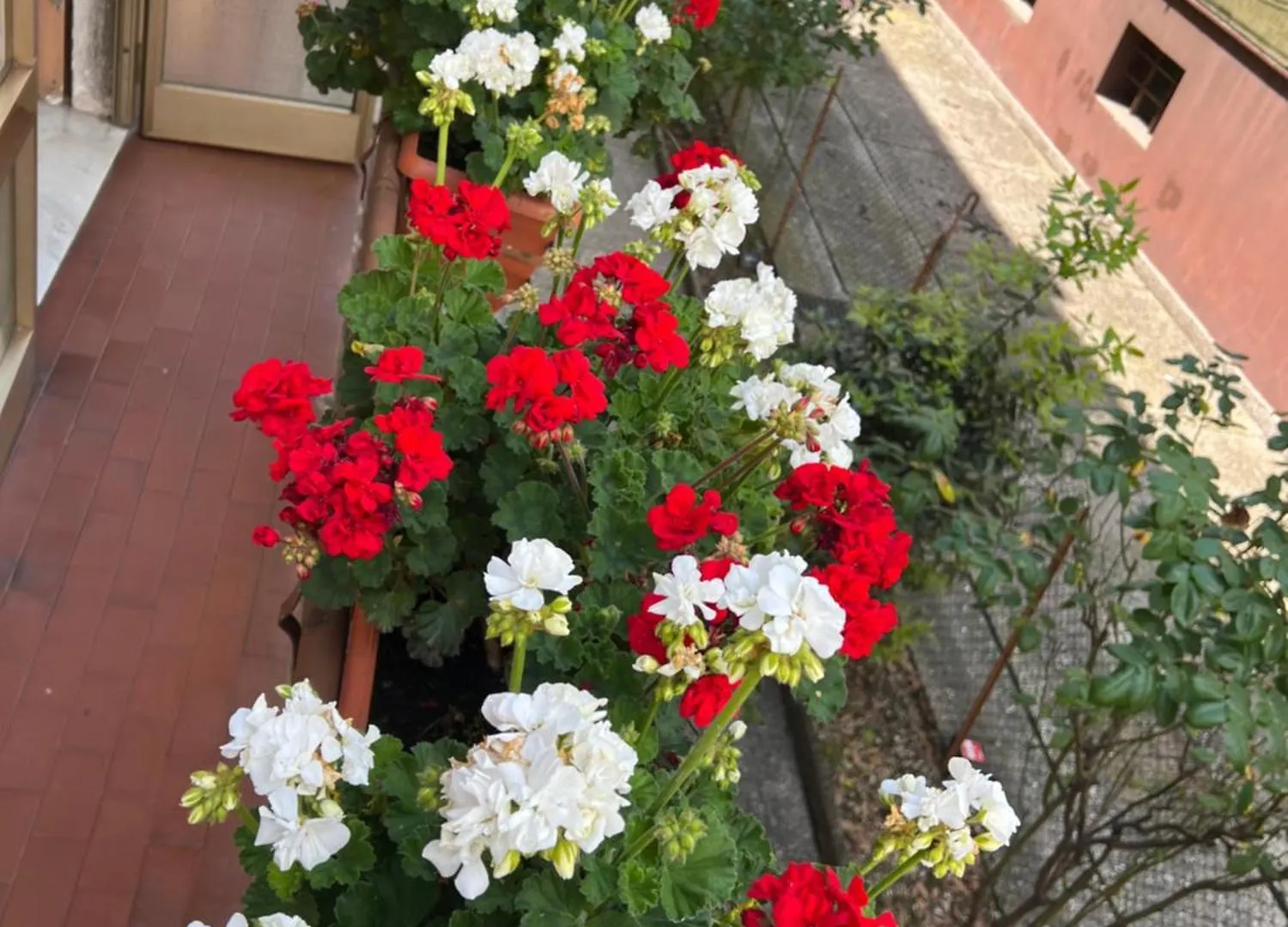 Casa Di Sara Apartment Mestre